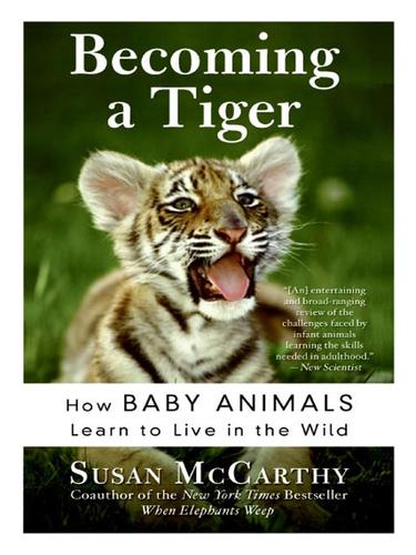 Cubierta de «Becoming a Tiger»